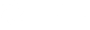 studioaudiovisualmzl.com